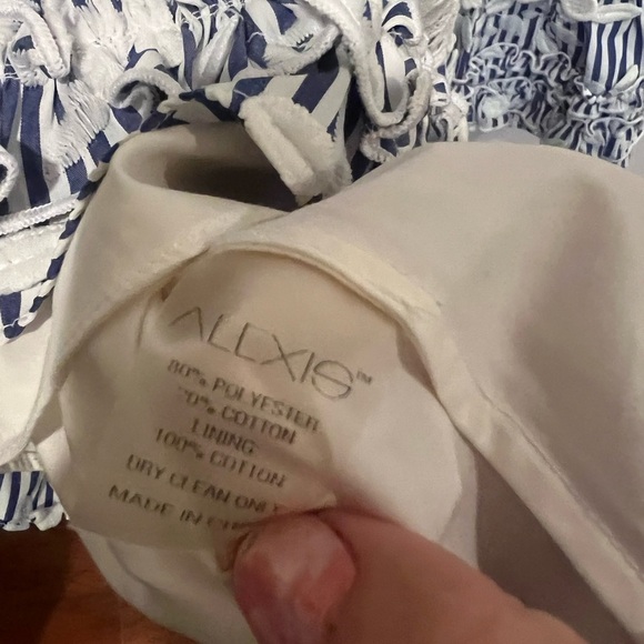 Alexis Olya Striped Embroidered Mini Dress Blue/White Size Small - Picture 5 of 6